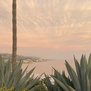 Meet your Posher, Ruqi